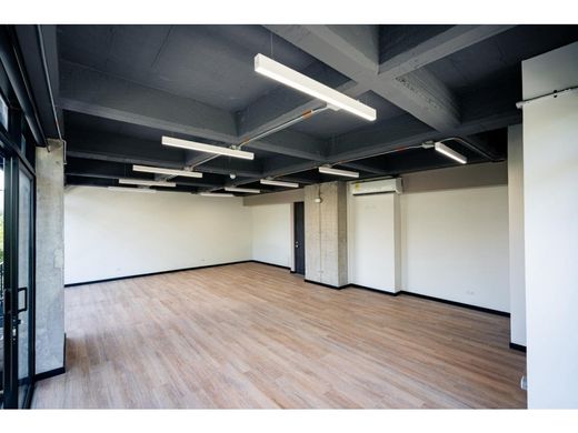 Bureau à Pereira, Departamento de Risaralda