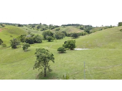 ‏בתים כפריים או חוות ב  Puerto Berrío, Departamento de Antioquia