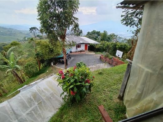 Rustik ya da çiftlik Dosquebradas, Departamento de Risaralda
