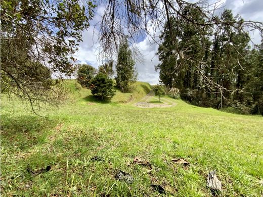Land in Envigado, Departamento de Antioquia