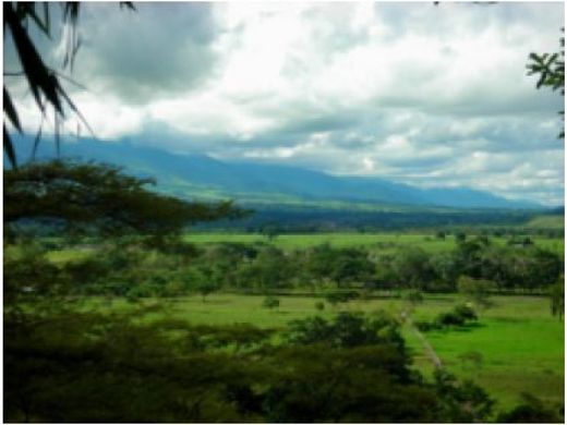 Αγροτεμάχιο σε Puerto Carreño, Departamento del Vichada