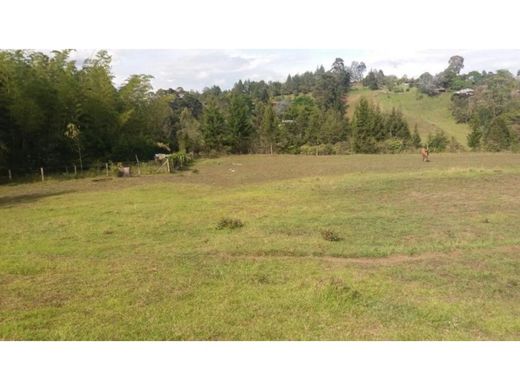 Land in Rionegro, Departamento de Antioquia