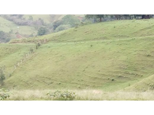 Cortijo o casa de campo en Trujillo, Departamento del Valle del Cauca