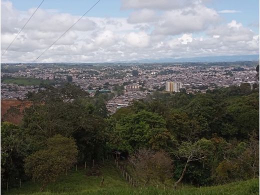 Ferme à Popayán, Departamento del Cauca