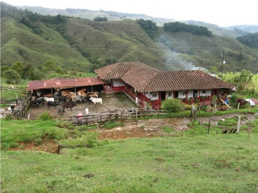 Ρουστίκ ή αγροικία σε Támesis, Departamento de Antioquia