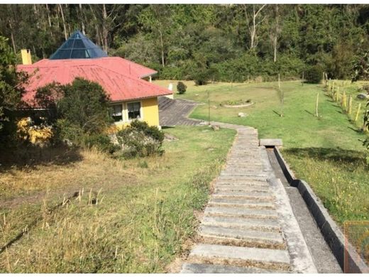 La Calera, Departamento de Cundinamarcaの土地