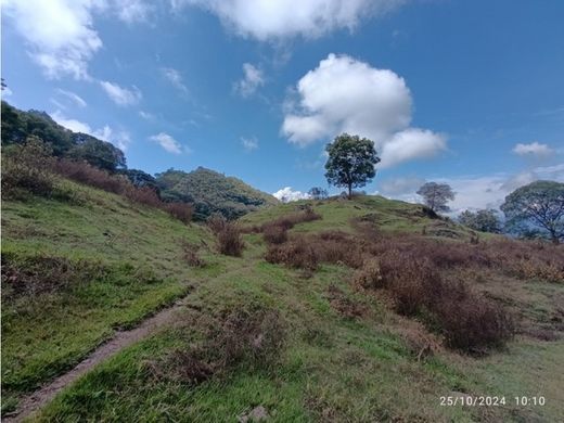 ﻣﻨﺰﻝ ﺭﻳﻔﻲ/ ﺑﻴﺖ ﻤﺰﺭﻋﺔ ﻓﻲ Fredonia, Departamento de Antioquia