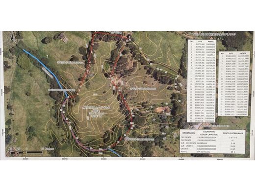 토지 / La Ceja, Departamento de Antioquia