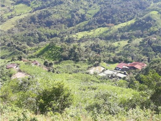 Rustik ya da çiftlik Villeta, Departamento de Cundinamarca