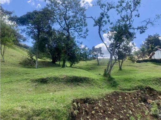 Rustik ya da çiftlik Rionegro, Departamento de Antioquia