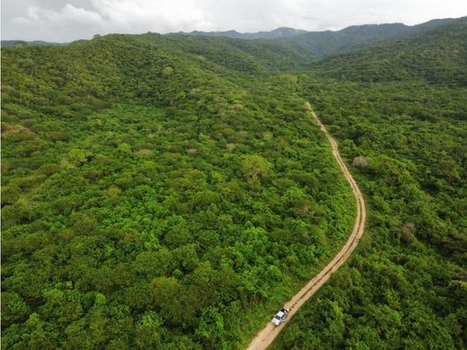 전원/농가 / Cartagena, Cartagena de Indias