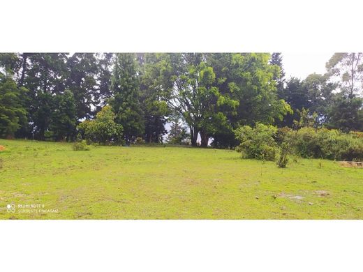 Arsa La Estrella, Departamento de Antioquia