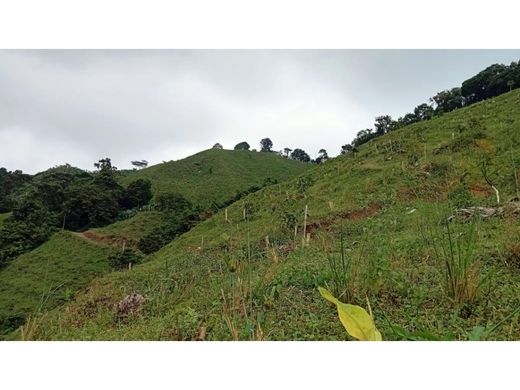 ‏בתים כפריים או חוות ב  Pijao, Quindío Department