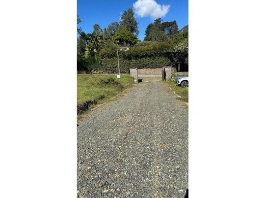 ‏קרקע ב  Rionegro, Departamento de Antioquia
