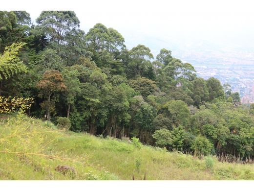 Teren w Medellín, Departamento de Antioquia