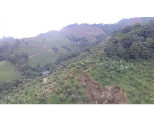 Rustik ya da çiftlik Pijao, Quindío Department