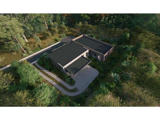 Gospodarstwo w Envigado, Departamento de Antioquia