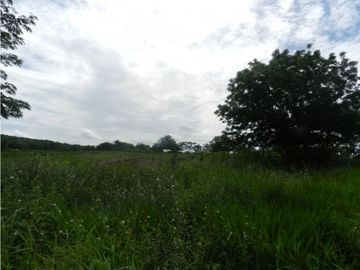 토지 / Cartagena, Cartagena de Indias