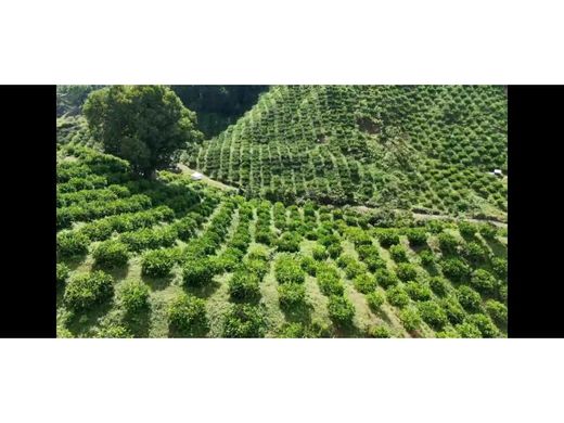 Rustykalny lub Wiejski w La Tebaida, Quindío Department