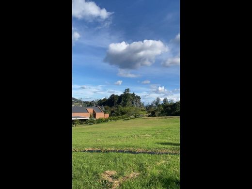 Arsa Envigado, Departamento de Antioquia
