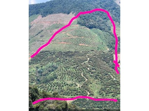 Сельский Дом, Urrao, Departamento de Antioquia