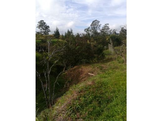 Land in Rionegro, Departamento de Antioquia