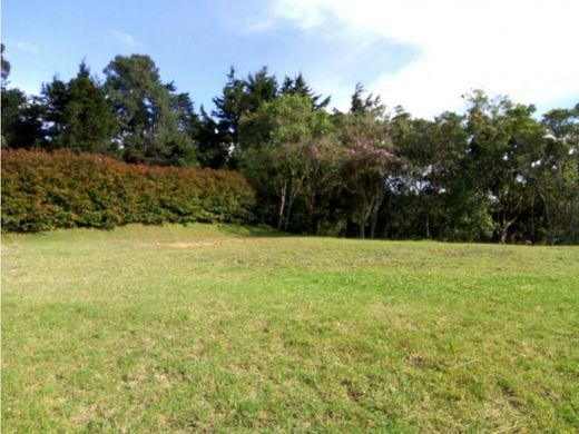 Land in Envigado, Departamento de Antioquia