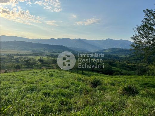 Terreno - Neira, Departamento de Caldas