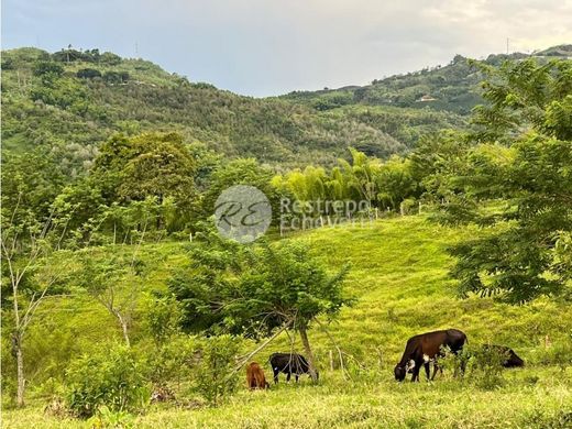 ﻣﻨﺰﻝ ﺭﻳﻔﻲ/ ﺑﻴﺖ ﻤﺰﺭﻋﺔ ﻓﻲ Palestina, Departamento de Caldas