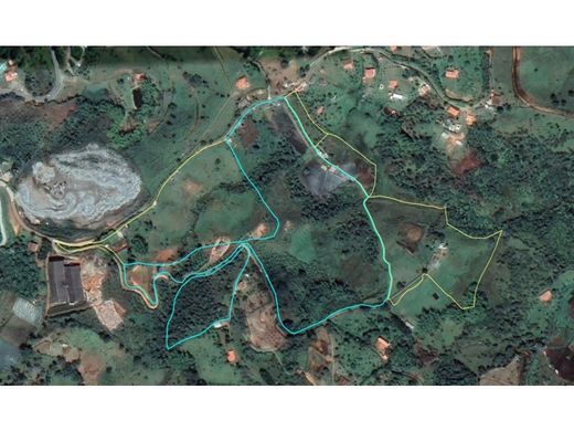 Arsa Marinilla, Departamento de Antioquia