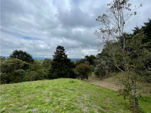 Terreno a Rionegro, Departamento de Antioquia