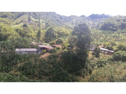 Boerderij in Pereira, Departamento de Risaralda