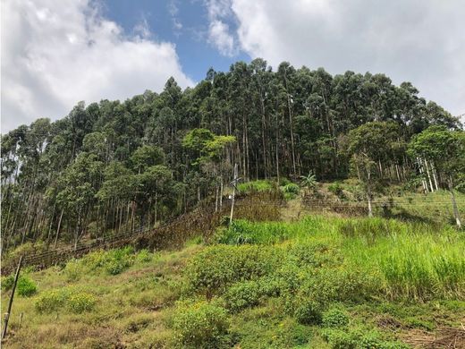 Farmhouse in Armenia, Quindío Department