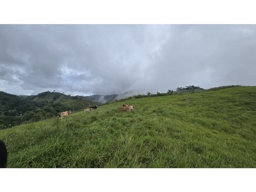 ‏בתים כפריים או חוות ב  Puerto Berrío, Departamento de Antioquia