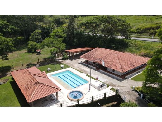 Quinta rústica - Támesis, Departamento de Antioquia