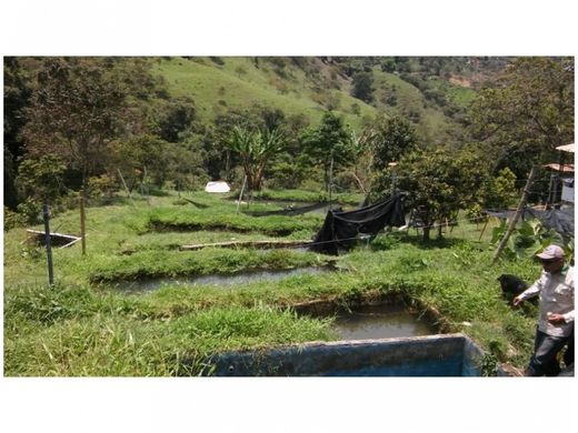 Boerderij in Girardota, Departamento de Antioquia
