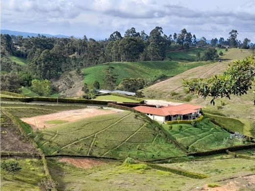 Country House in Retiro, Departamento de Antioquia
