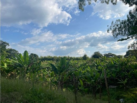 Farmhouse in Armenia, Quindío Department