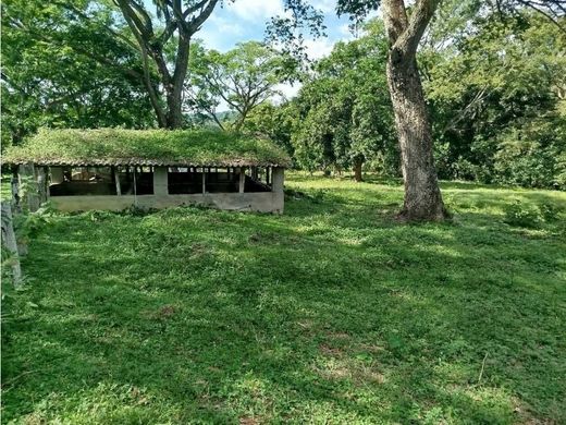 أرض ﻓﻲ San Jerónimo, Departamento de Antioquia