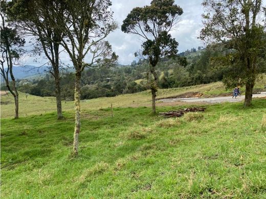 Envigado, Departamento de Antioquiaの土地