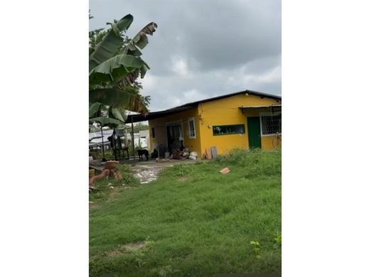 Arsa Armenia, Quindío Department