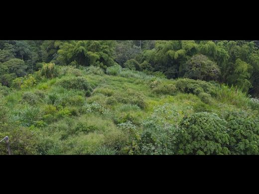 Arsa Armenia, Quindío Department