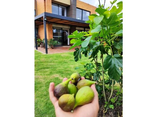 Country House in La Calera, Cundinamarca