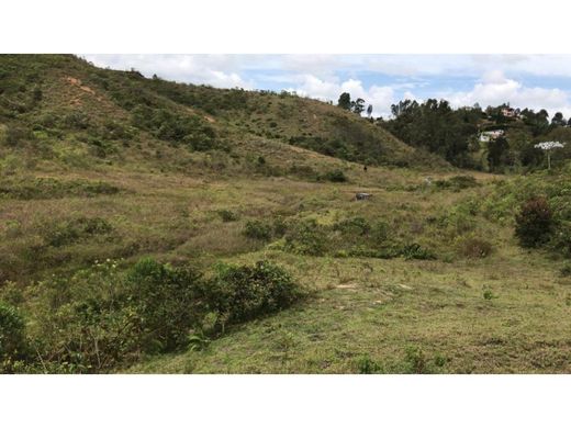 토지 / Guarne, Departamento de Antioquia