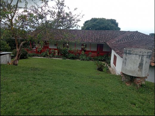 Quinta rústica - Sevilla, Departamento del Valle del Cauca