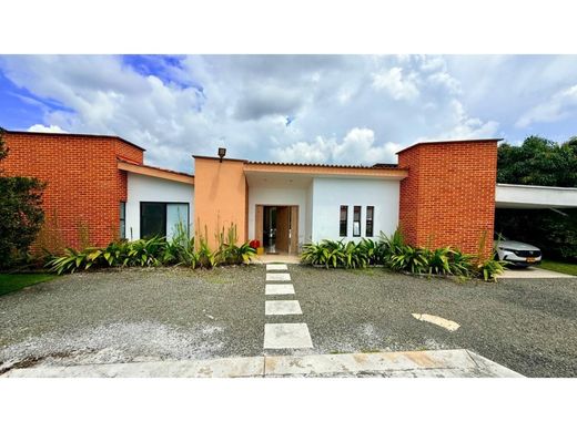 Gospodarstwo w Pereira, Departamento de Risaralda