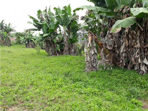 Land in Montenegro, Quindío Department