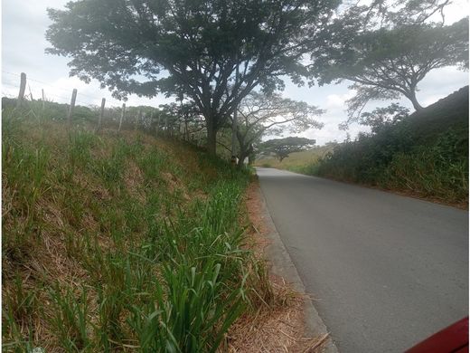 전원/농가 / Armenia, Quindío Department