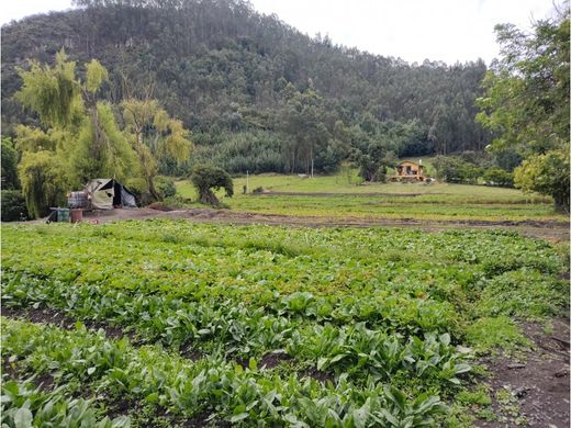 Farmhouse in Madrid, Cundinamarca