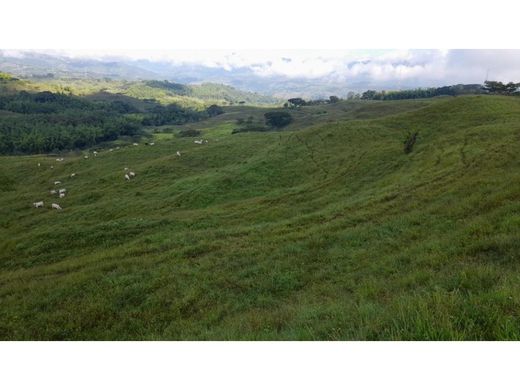 Rustico o casale a Manizales, Departamento de Caldas